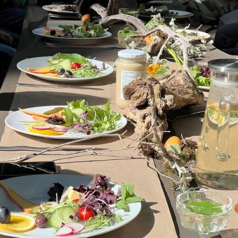 FeedmeSlowly Feast in the Forest Knysna Oyster Festival 2026