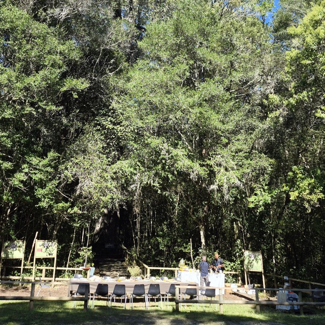 FeedmeSlowly Feast in the Forest Knysna Oyster Festival 2026