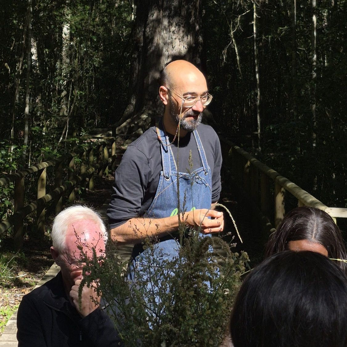 FeedmeSlowly Feast in the Forest Knysna Oyster Festival 2026