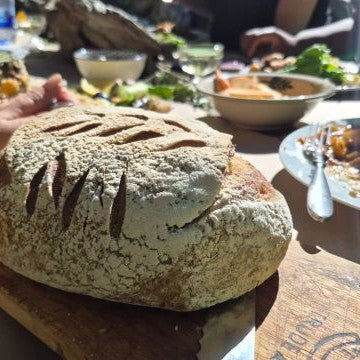 FeedmeSlowly Feast in the Forest Knysna Oyster Festival 2026