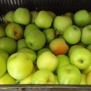Chemical Free Apples from Elgin